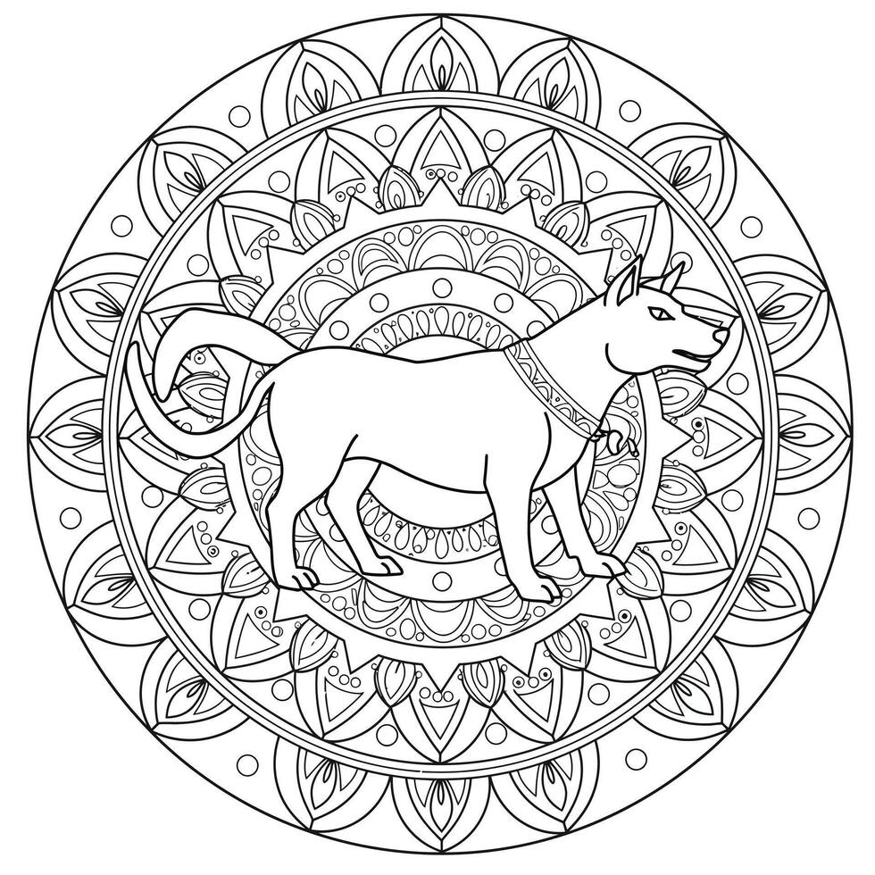 A dog in a circle with a mandala design vector