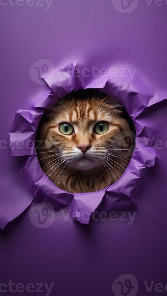 A curious cat with striking green eyes peers through a vibrant purple paper tear, creating a whimsical and eye-catching portrait. photo