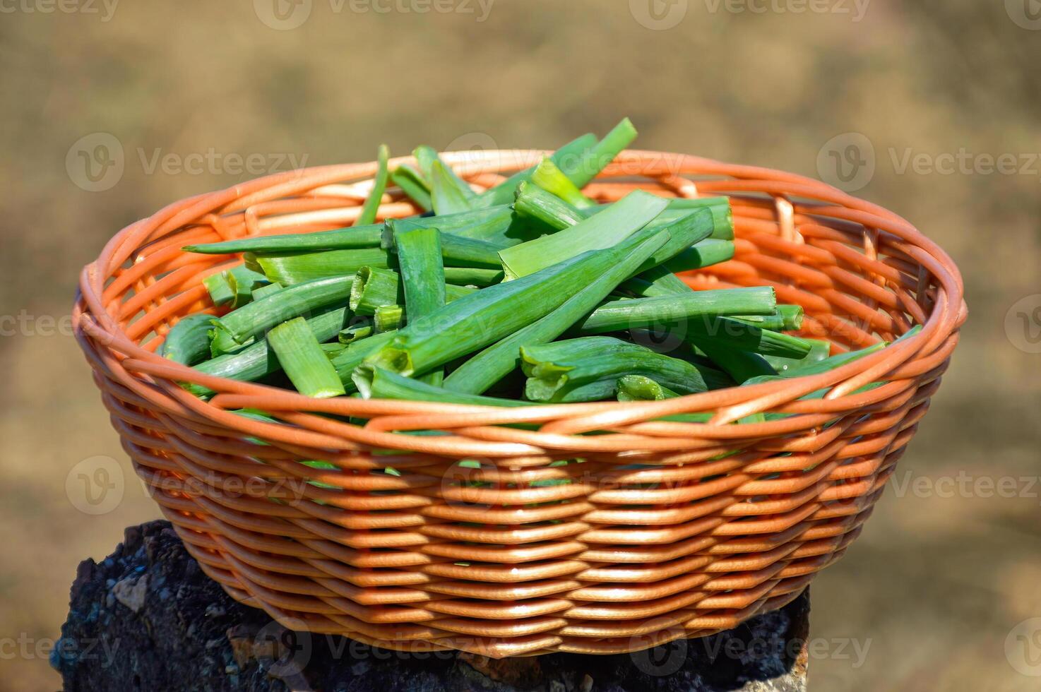 First fresh green onions chopped into pieces in a wicker basket photo