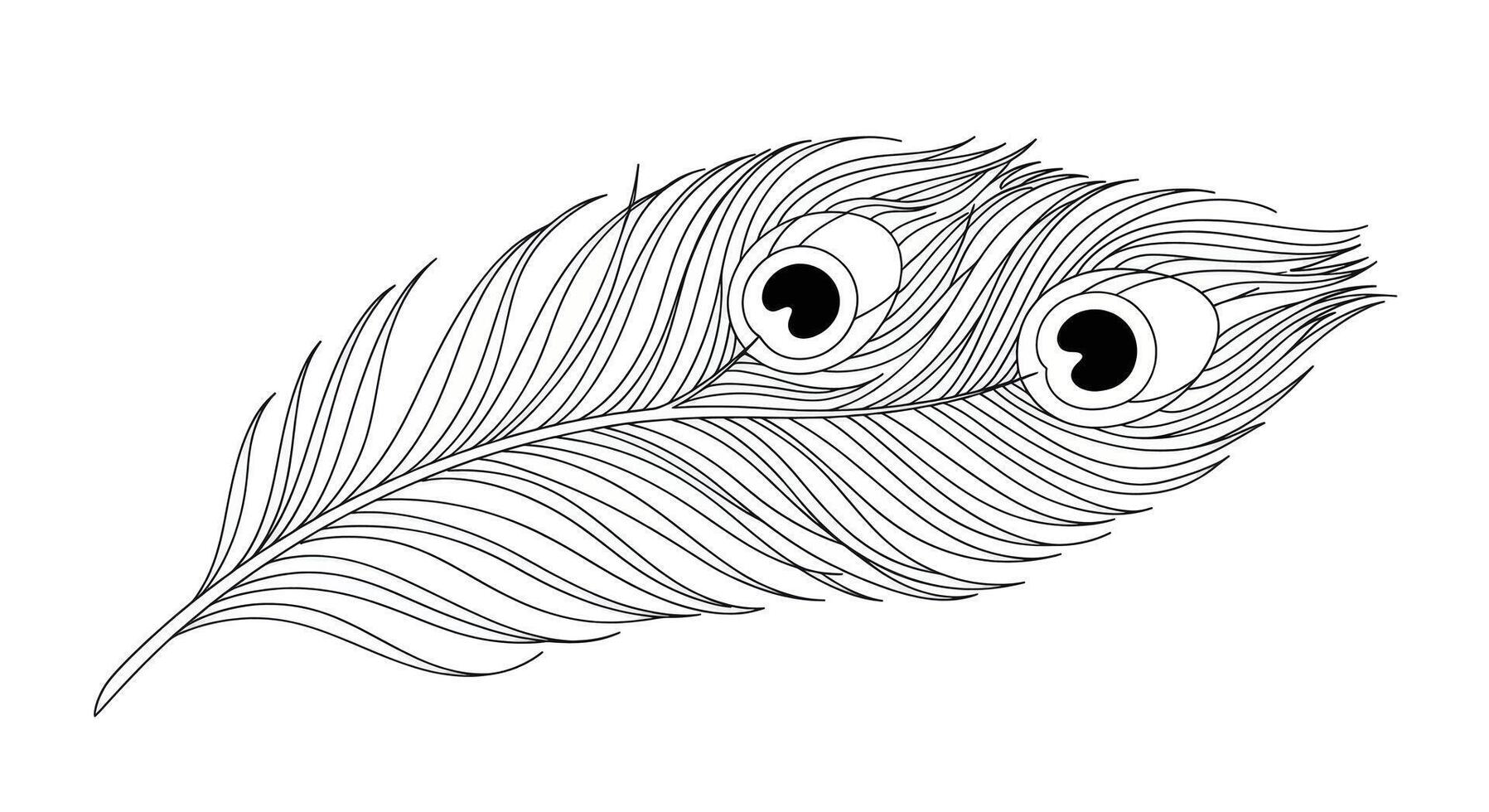 A black and white drawing of a feather with two eyes vector
