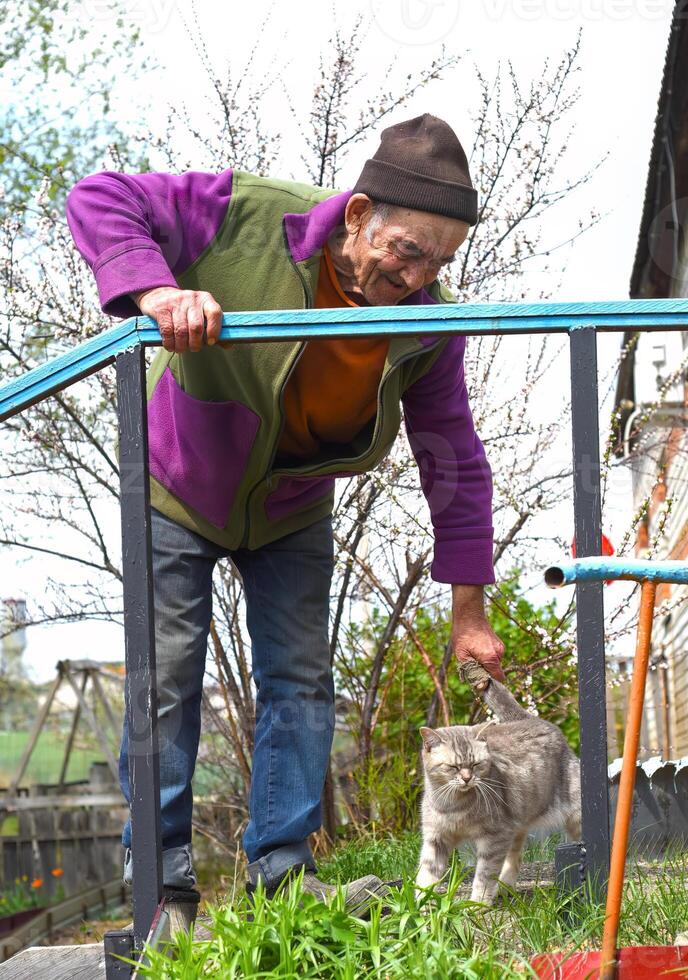 Old Russian man touching a cat and laughing photo
