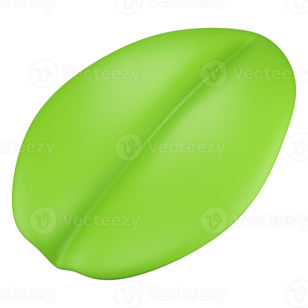 Stylized leaf. Isolated on transparent background png