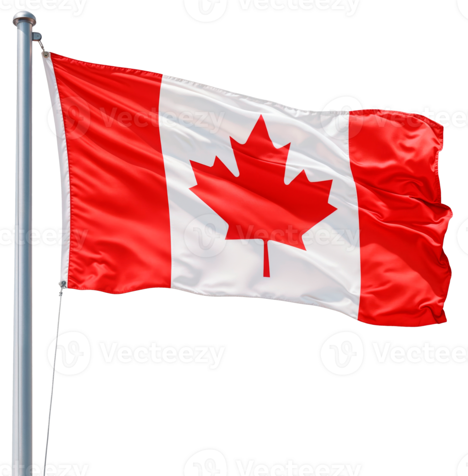 Flag of Canada waving on a flagpole isolated on transparent background png