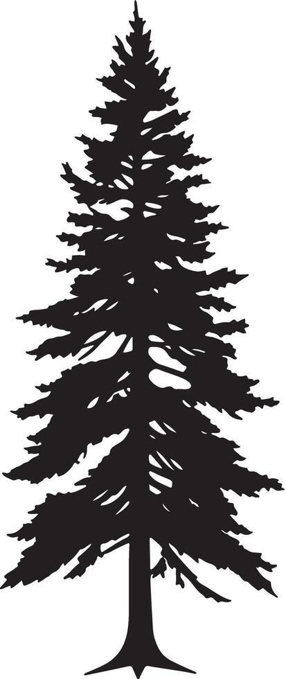 Elegant line art silhouette of a tall pine tree on white background vector