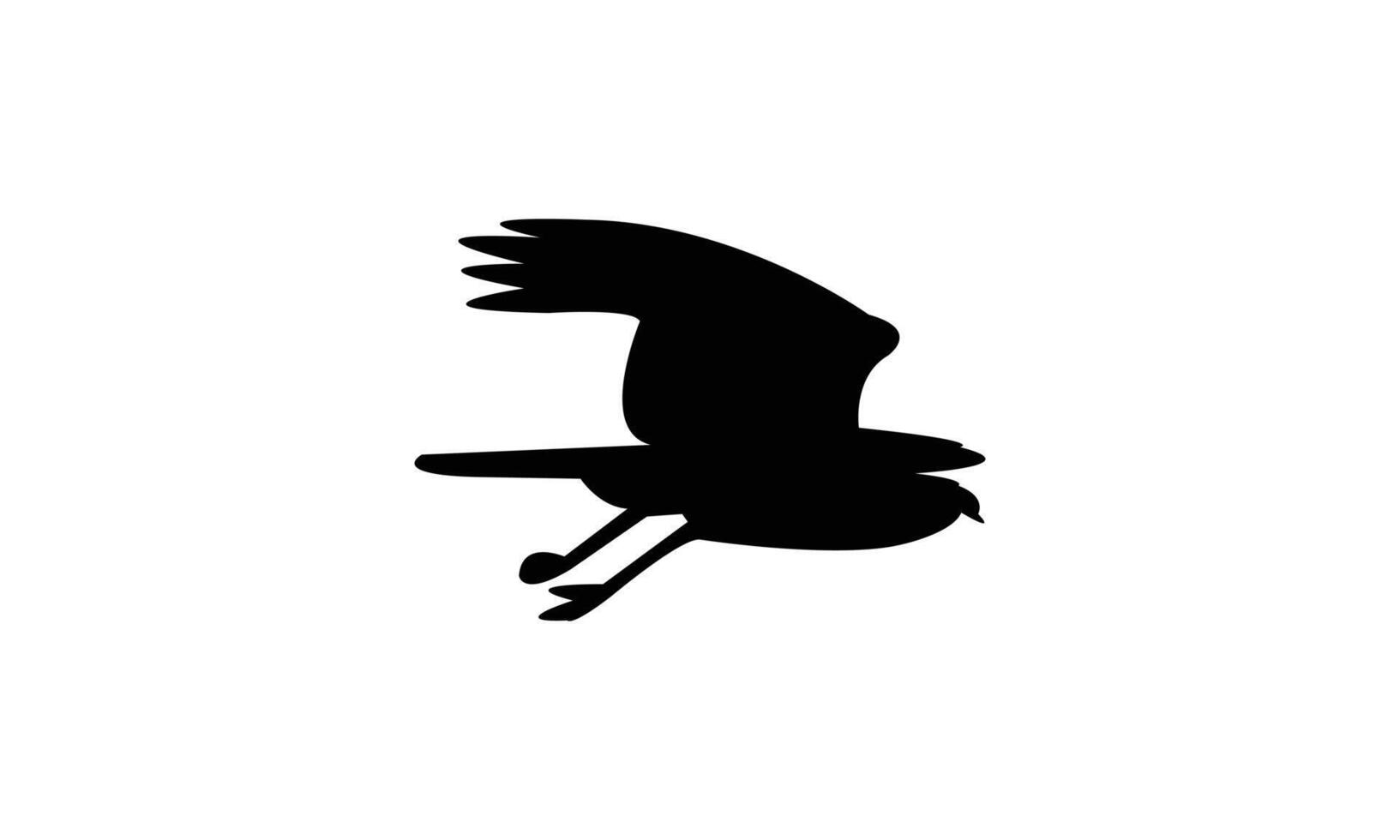 Flying African goshawk bird Silhouette Design And Illustration. vector