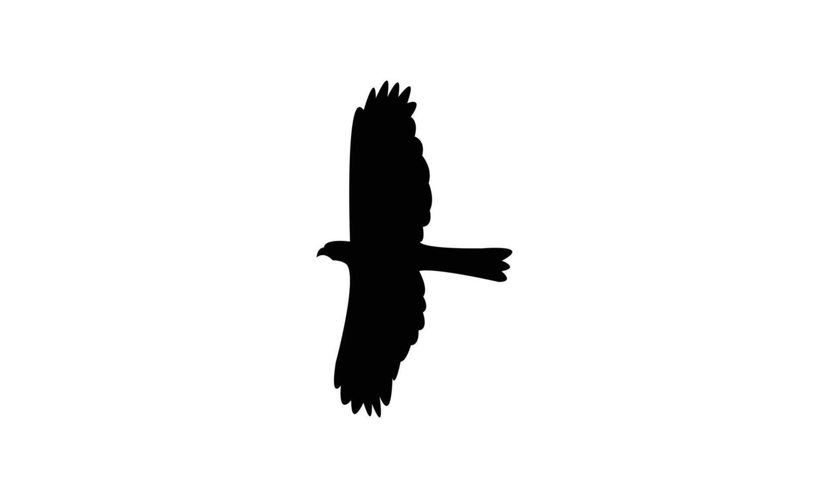 Flying African goshawk bird Silhouette vector