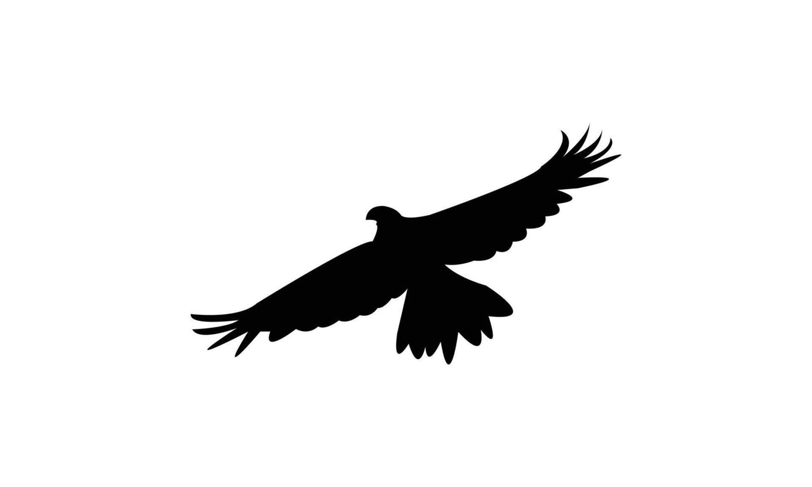 Flying African goshawk black Silhouette Design And Illustration. vector