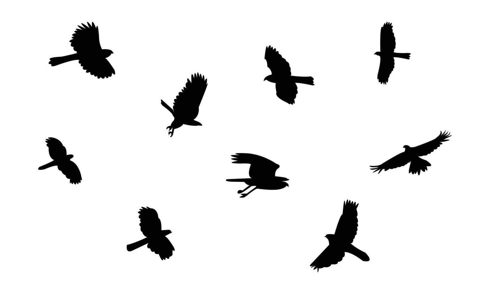 Flying African goshawk bird Silhouette Collection vector
