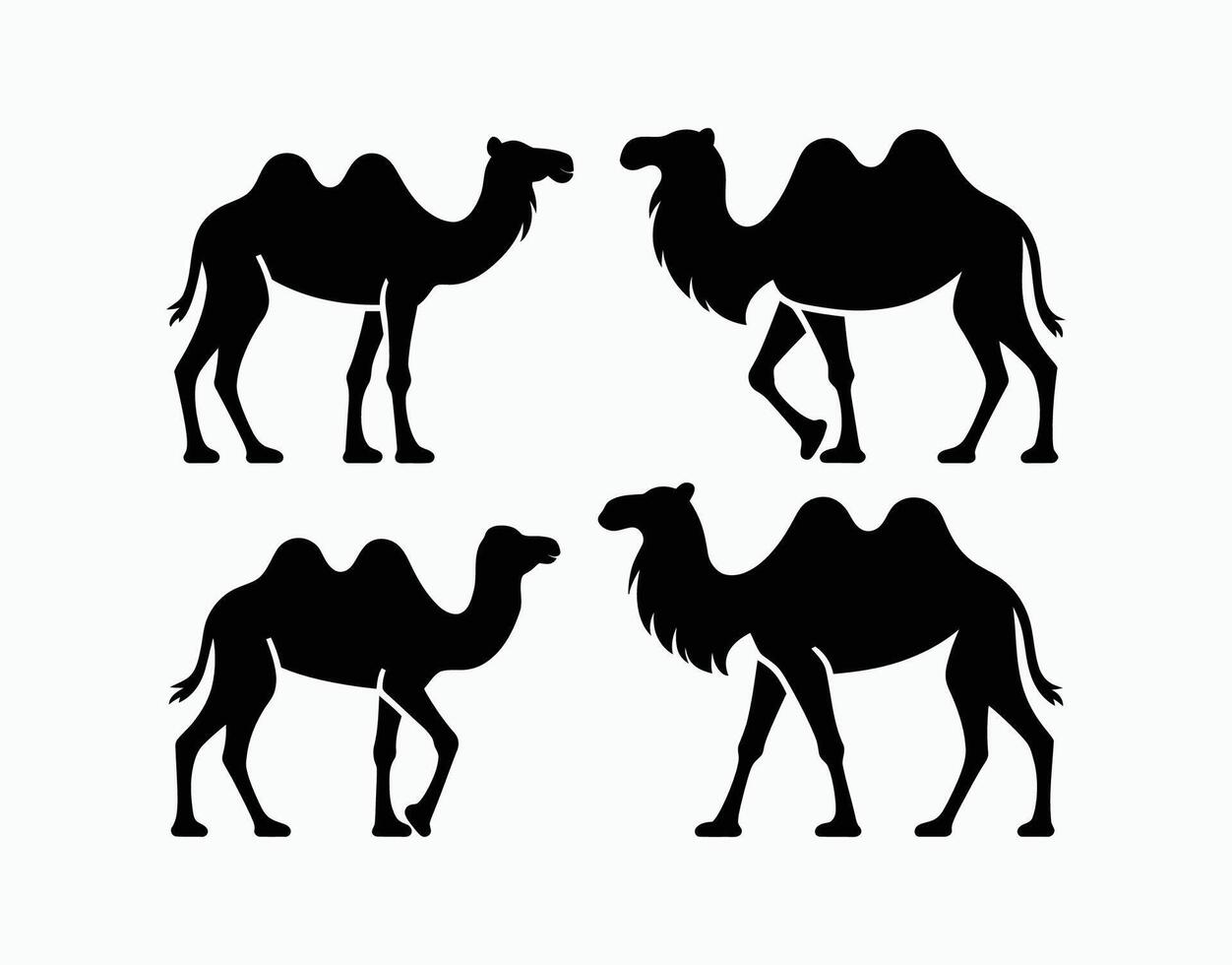 Camel Silhouette Design Template Illustration vector