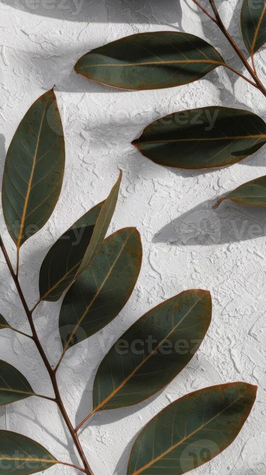 A close up of leaves on a wall photo