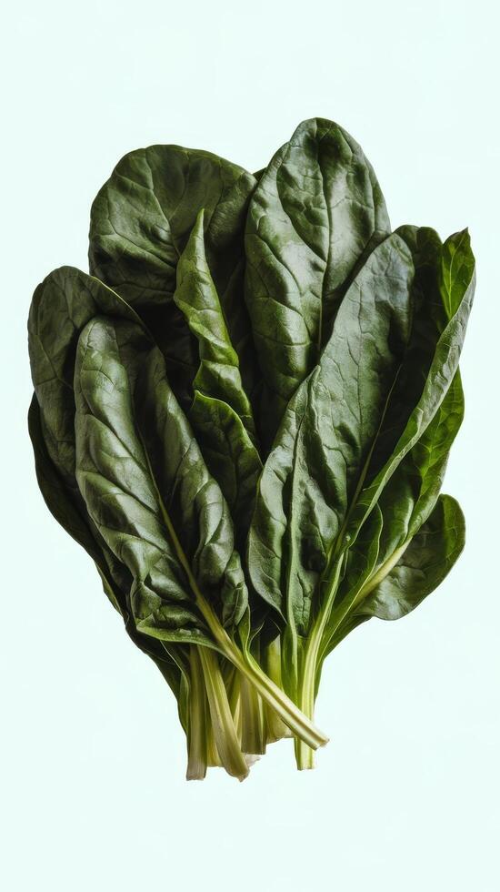 Spinach leaves isolated on white photo