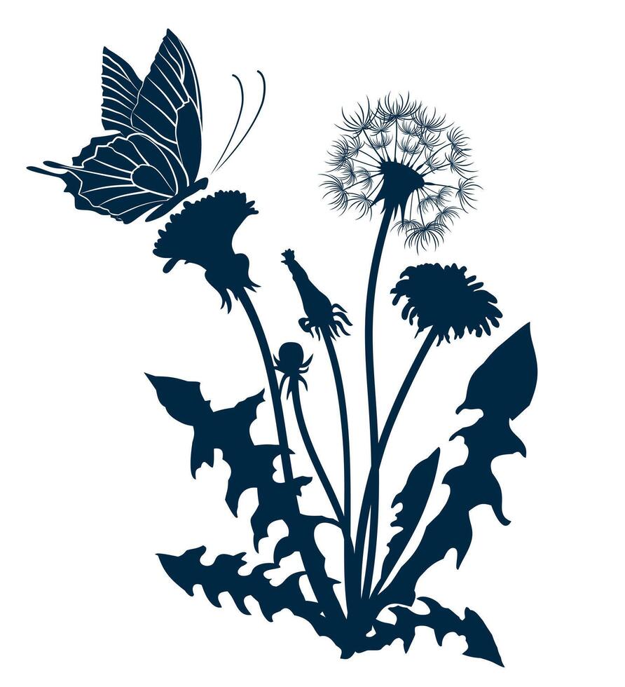 Field dandelion with flying butterfly. vector