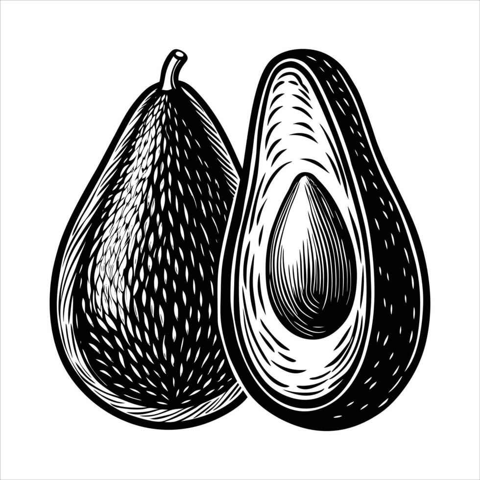 Whole Sliced Avocado. vector