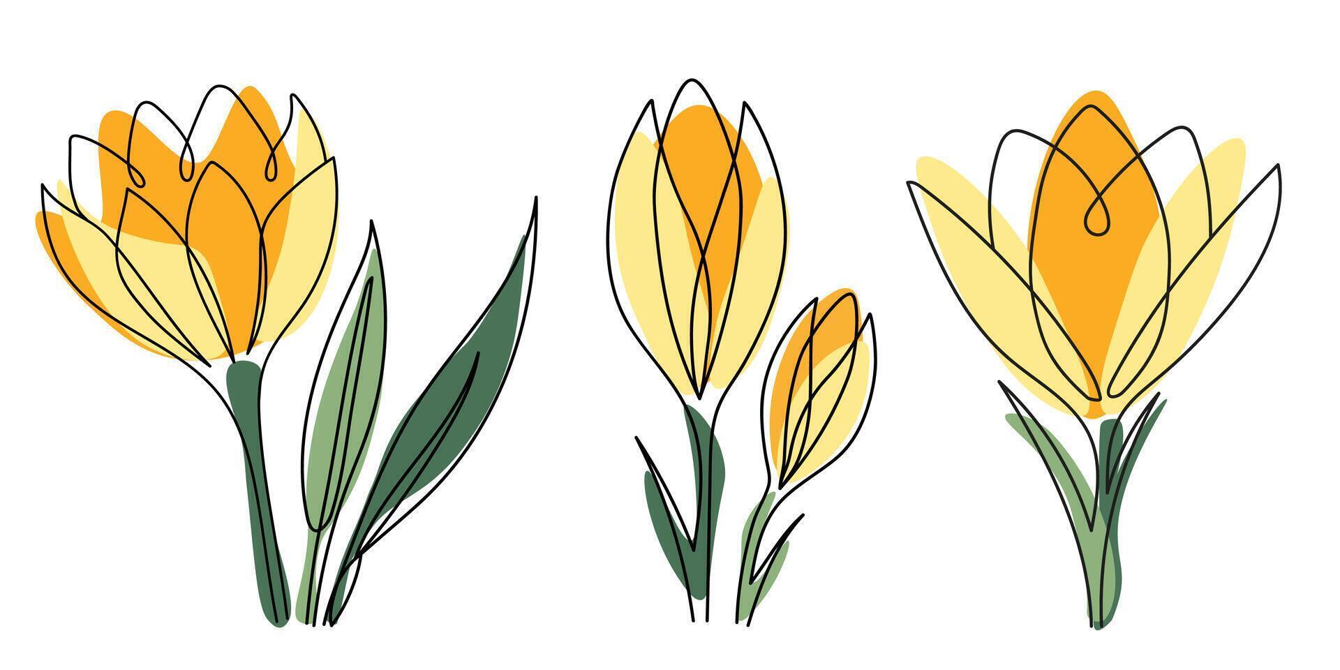 Abstract crocus flower set with yellow petals and black outline. One line art floral collection. Hand-drawn botanical set vector