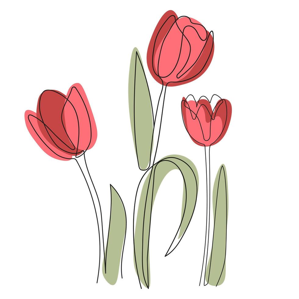 Abstract floral hand drawing outline three red tulips isolated on white background. Set of red tulips one black line. Three tulip red flowers line art. vector