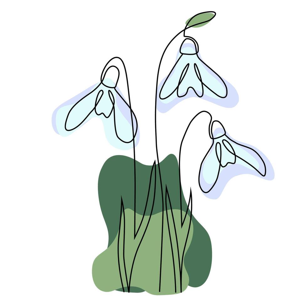 Continuous one line drawing hand drawn minimalist design of spring snowdrop. Illustration isolated on white background. Hand drawn flowers sketch. vector