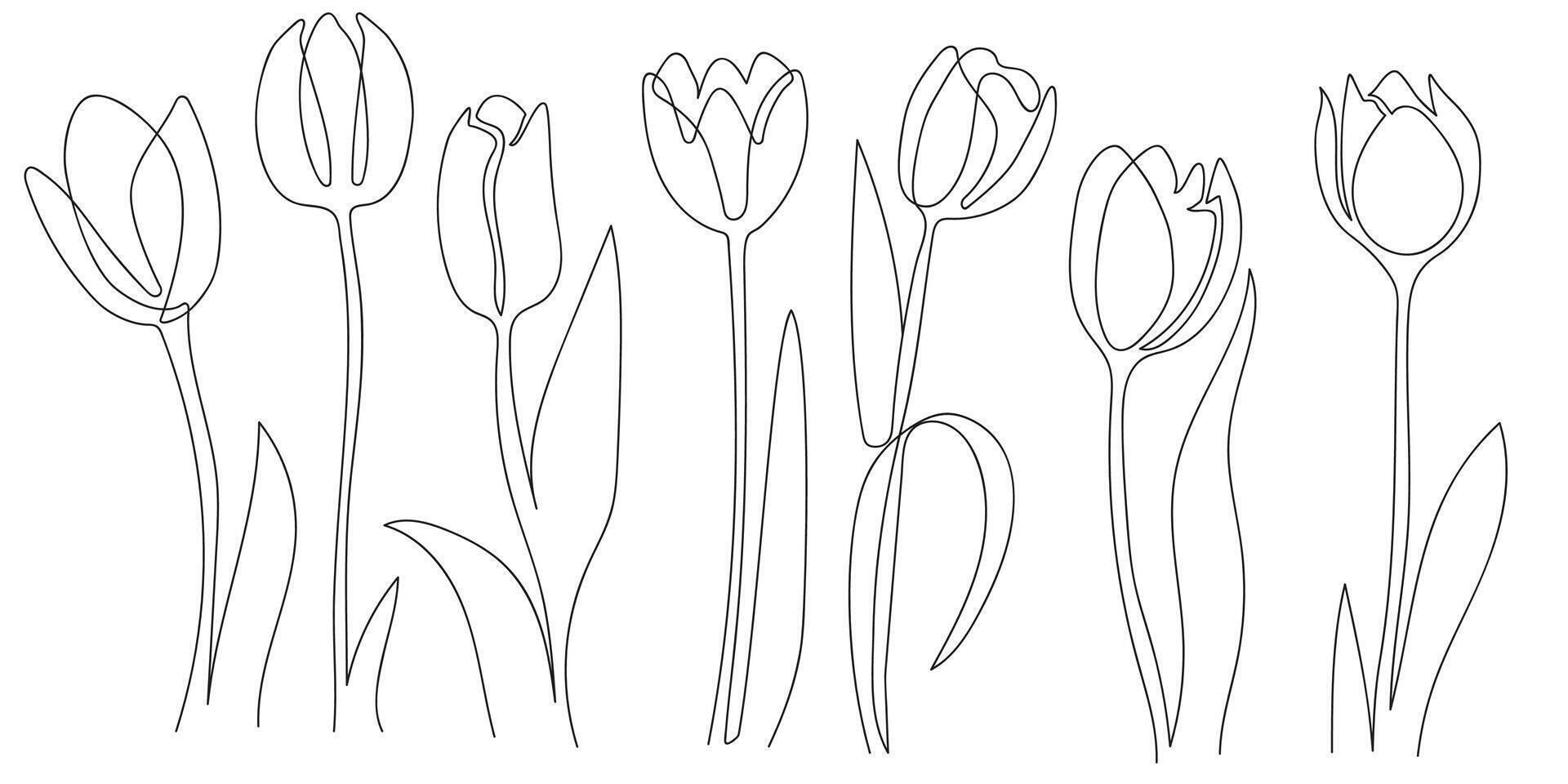 Abstract floral hand drawing outline tulips isolated on white background. Set of tulips one line art black and white.Tulip flowers line art big set. vector