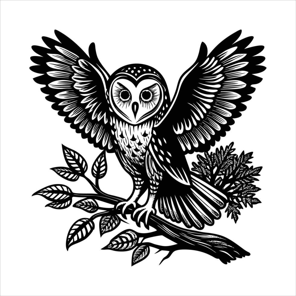 Barn Owl On Branch vector