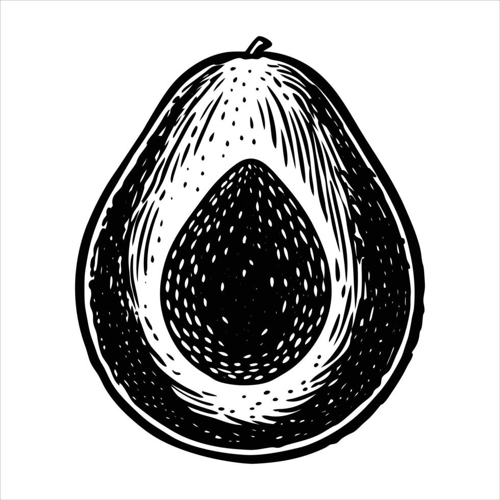 Hand Drawn Avocado vector
