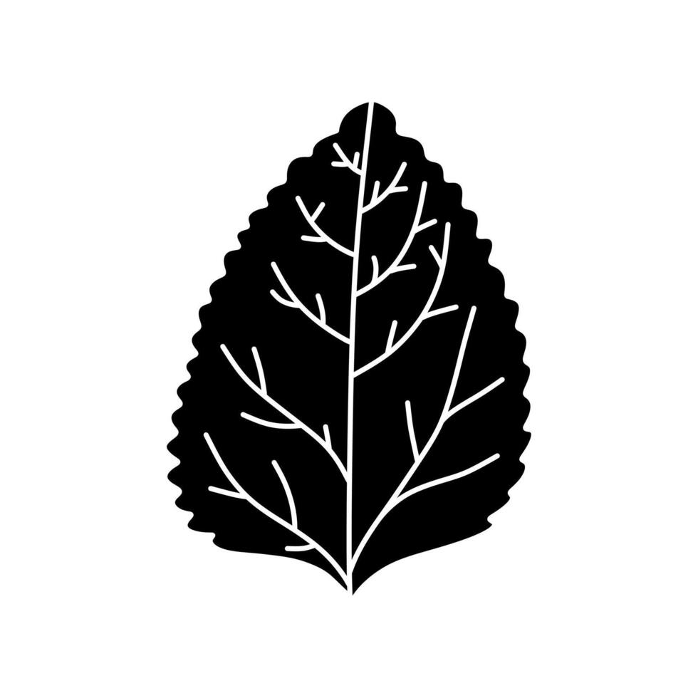 Tropical leaves design isolated on white background. vector