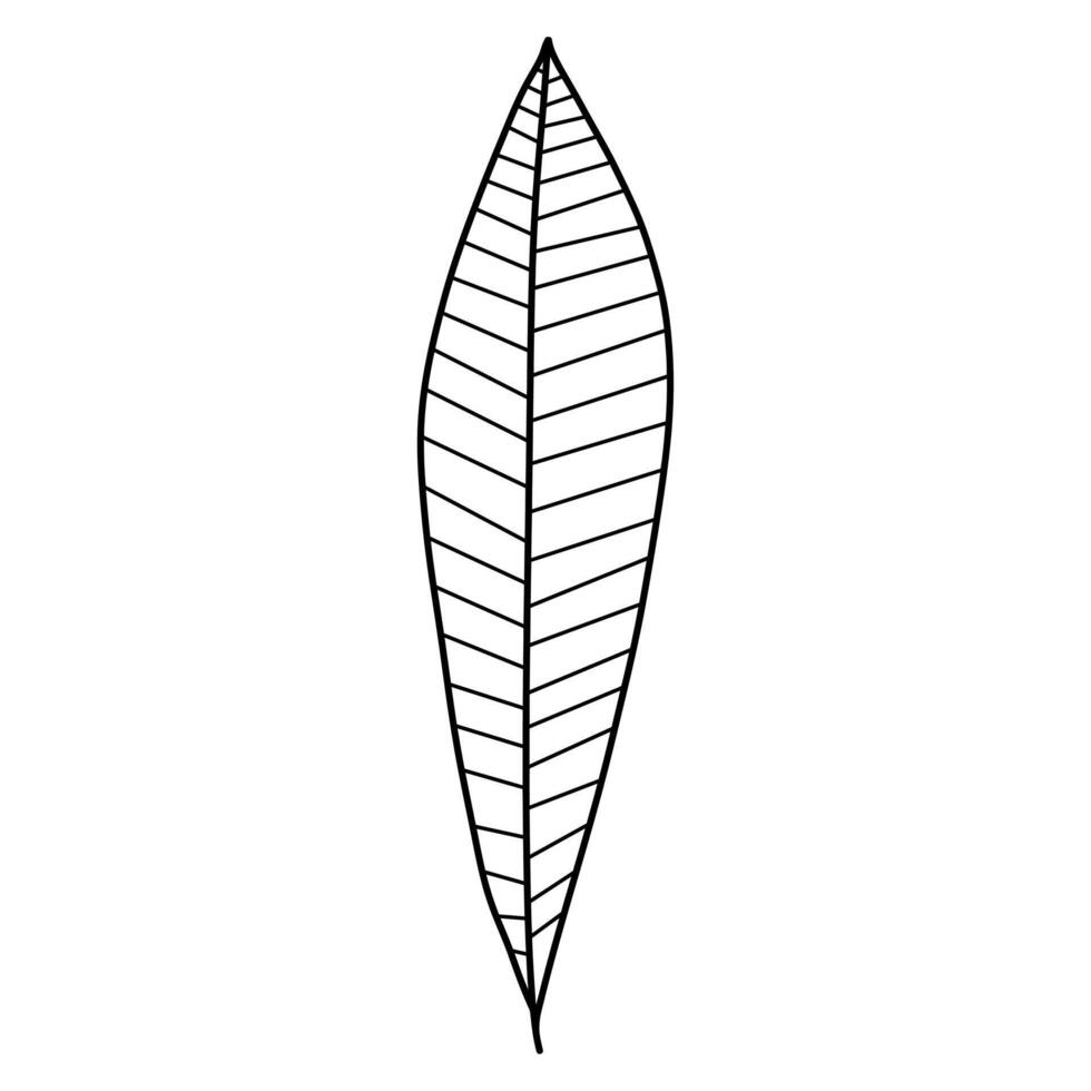 leaf silhouette symbol icon design. Simple hand-drawn drawing in black outline. vector