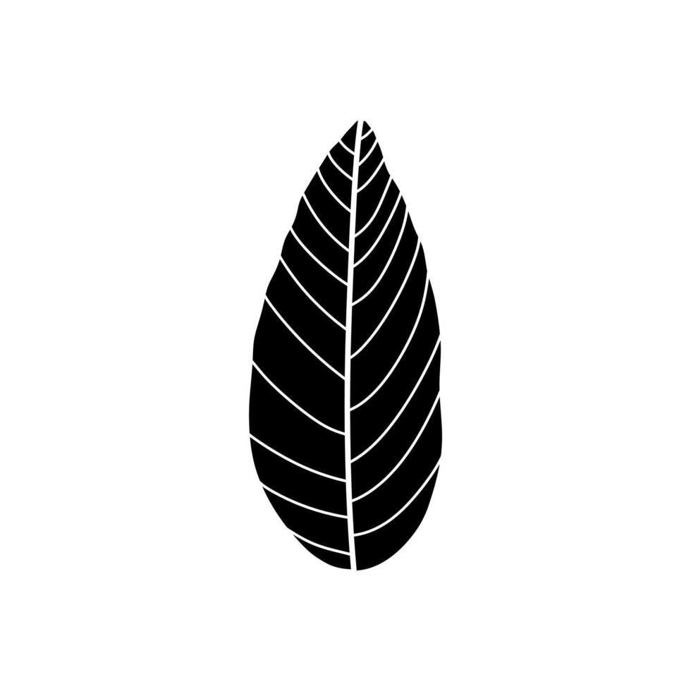 black and white leaf illustration. Hand drawn decorative botanical elements. Isolated leaf illustration element. vector