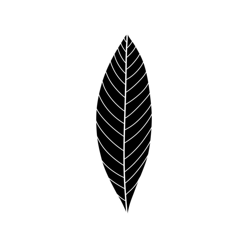 Black outlines of leaves. Season design elements. vector