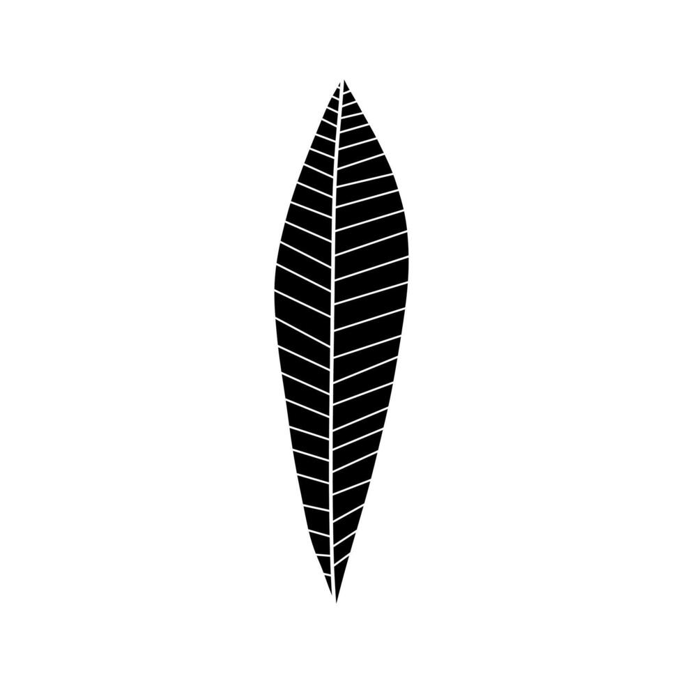 black and white leaf illustration. Hand drawn decorative botanical elements. vector