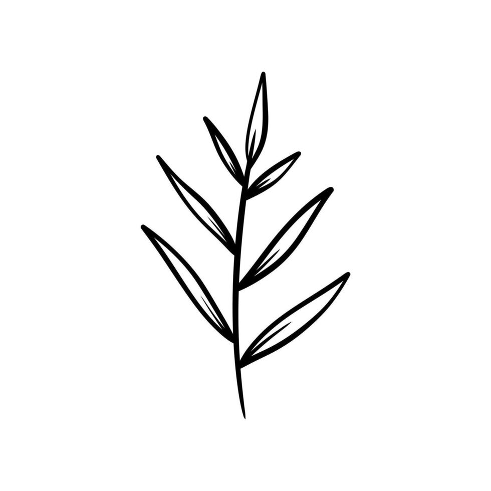 Leaves on branches illustration. design isolated on white background. vector