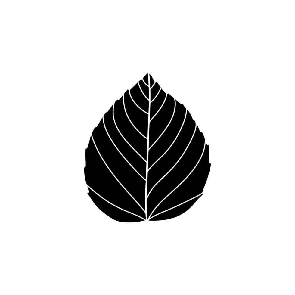 black and white leaf illustration. tree leaves hand draw black and white design. Nature exotic illustration vector