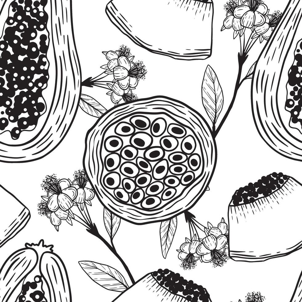Botanical Illustration showcasing various Fruit and Flowers in artistic representation vector