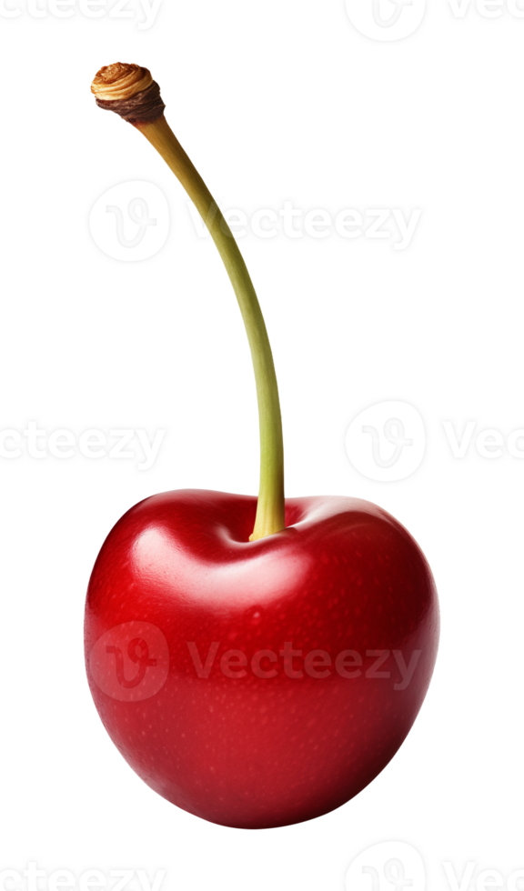 Cherry for top of Dessert Isolated on Transparent Background png