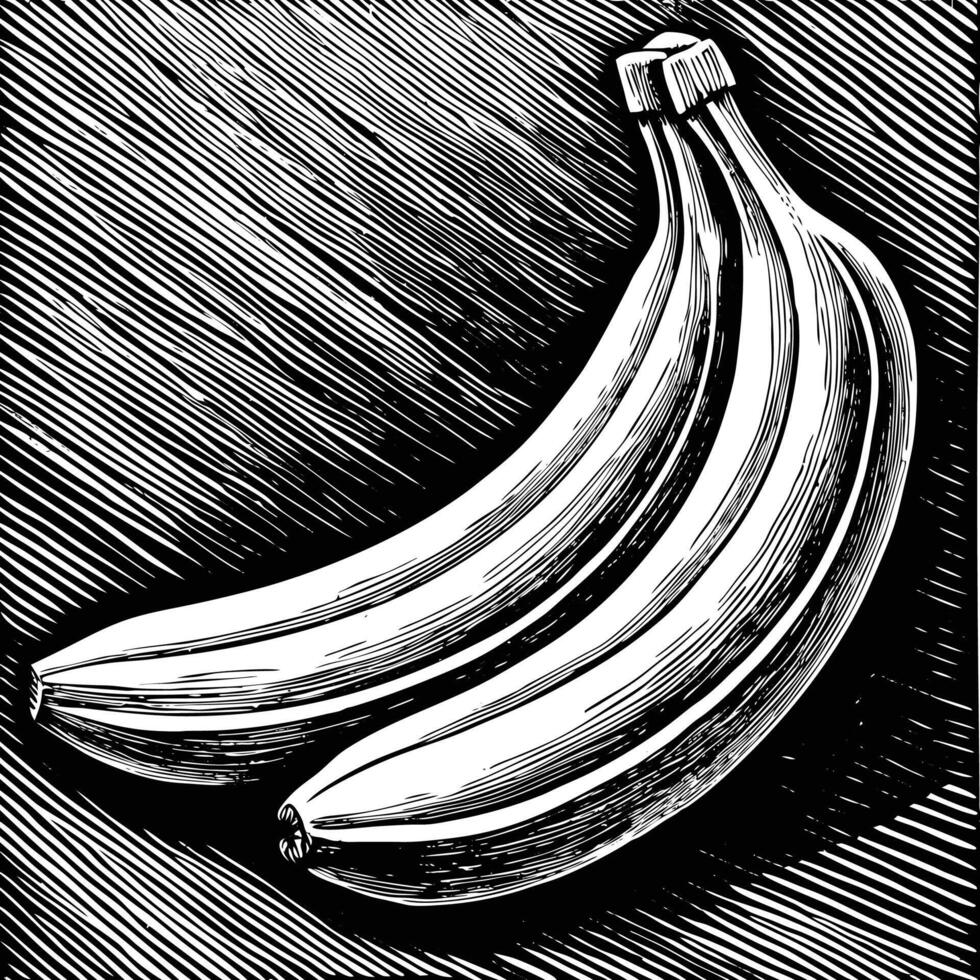 a black and white drawing of two bananas vector