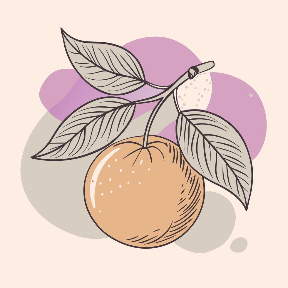an orange with leaves and a stem on a pink background vector