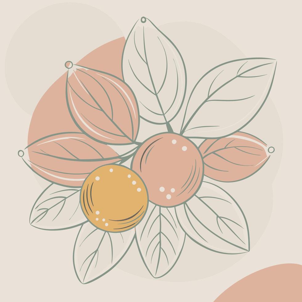an illustration of a fruit and leaves vector