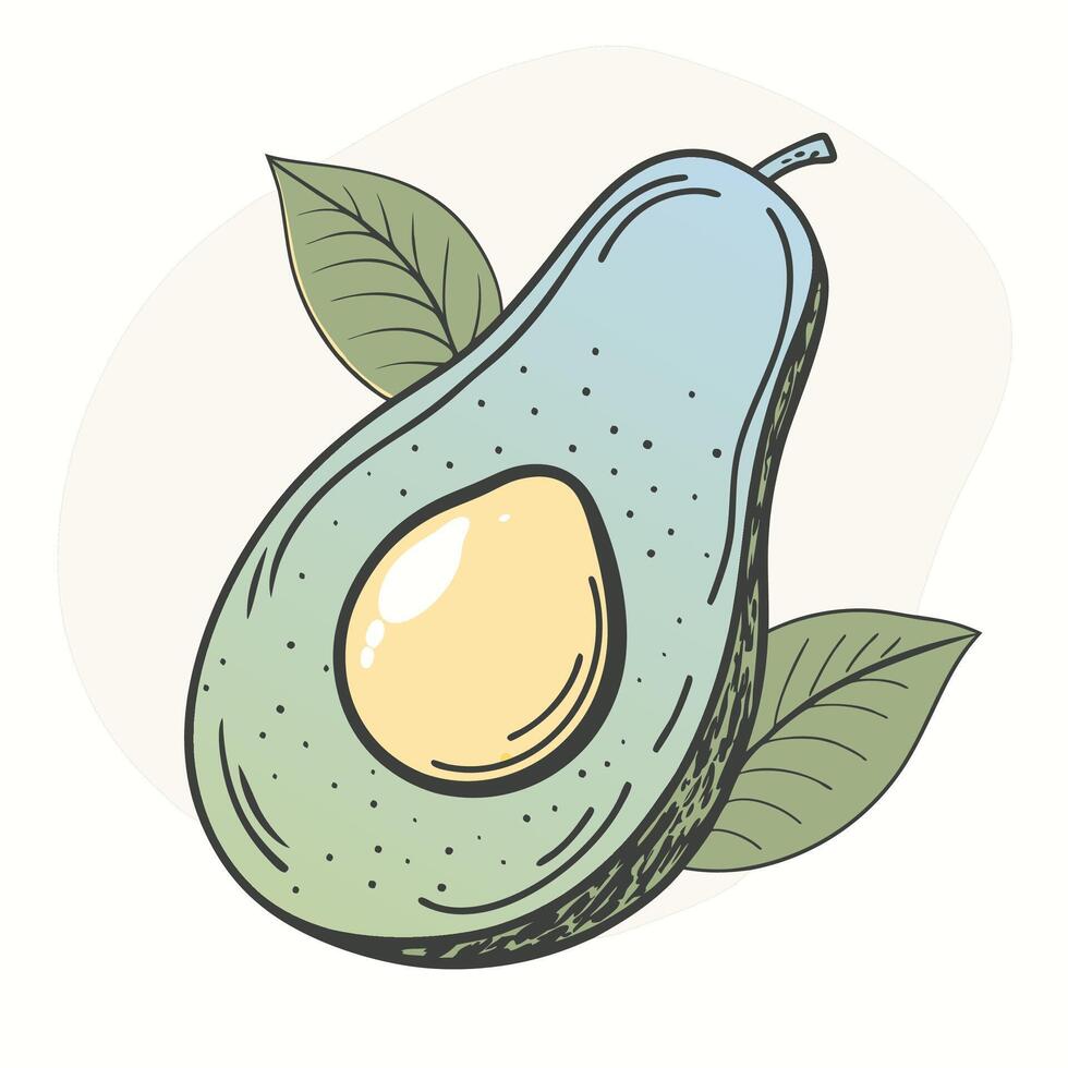 an avocado with leaves and a green stem vector