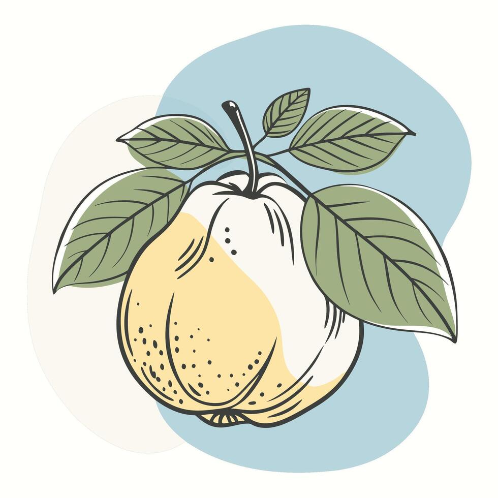 pear with leaves and leaves illustration vector
