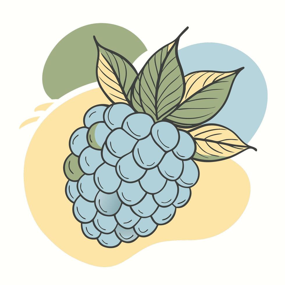 a blueberry with leaves on it is shown this illustration vector