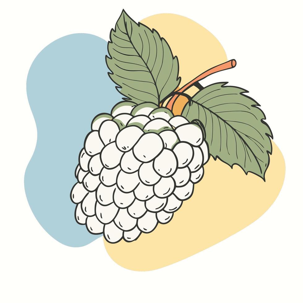 a raspberry on a yellow and blue background vector