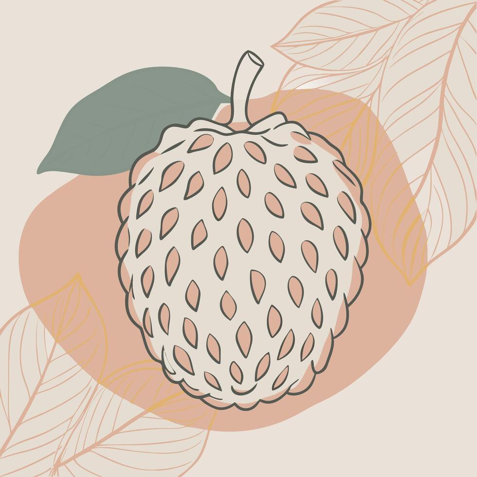 an illustration of a litchi fruit with leaves vector