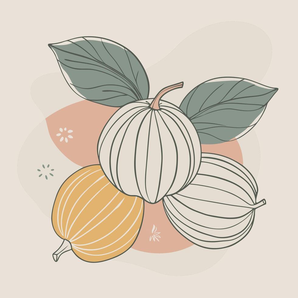 grapefruit fruit white background illustration vector
