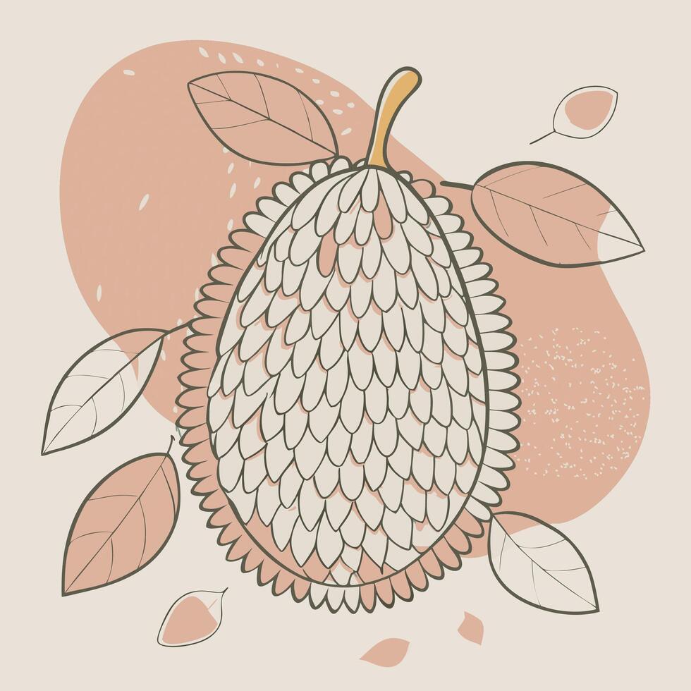 an illustration of a durian fruit white background vector