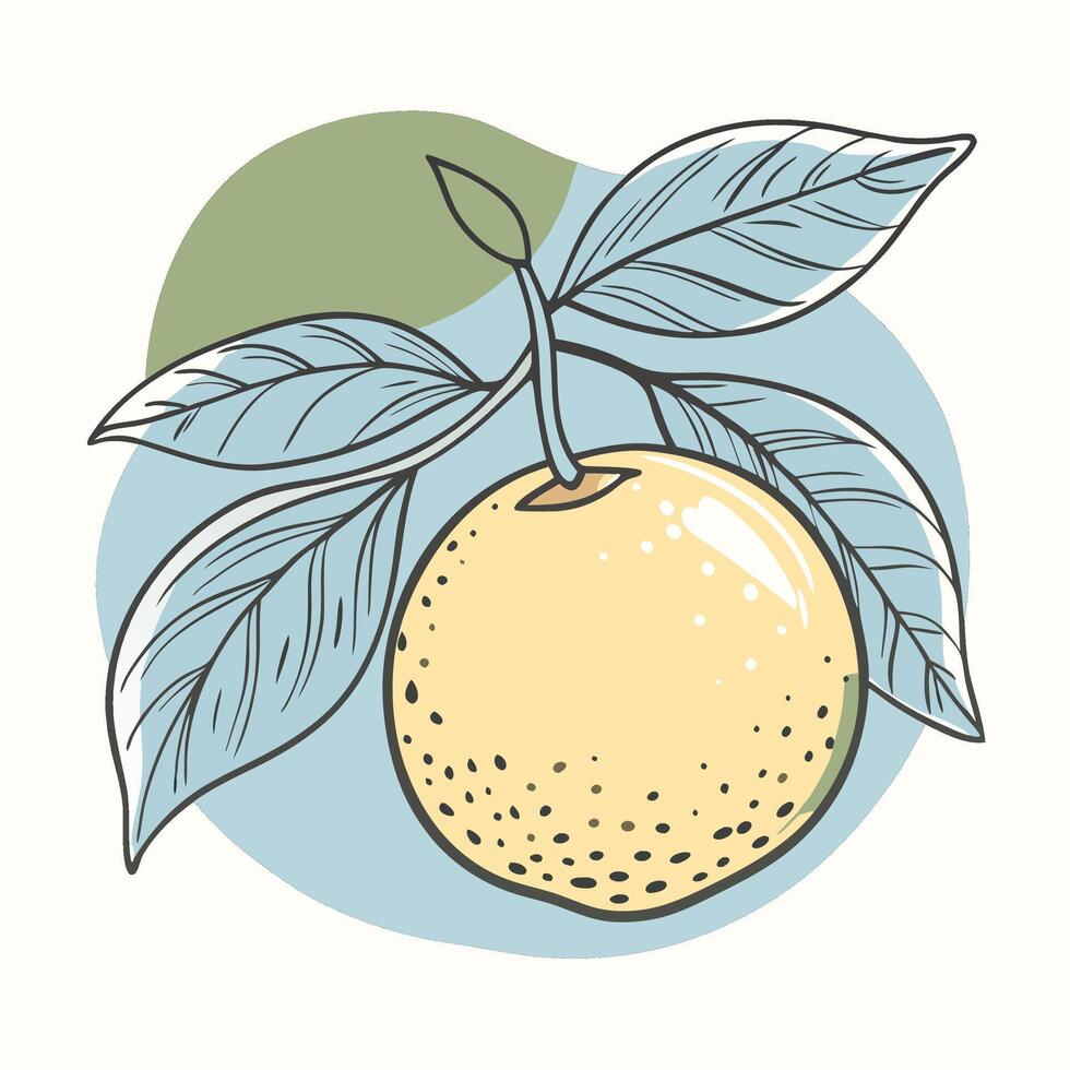 an illustration of lemon with leaves vector