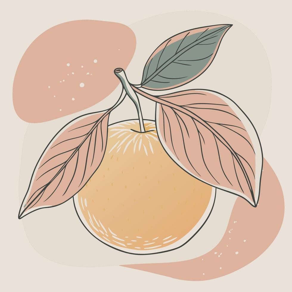 an orange with leaves and leaves on it vector