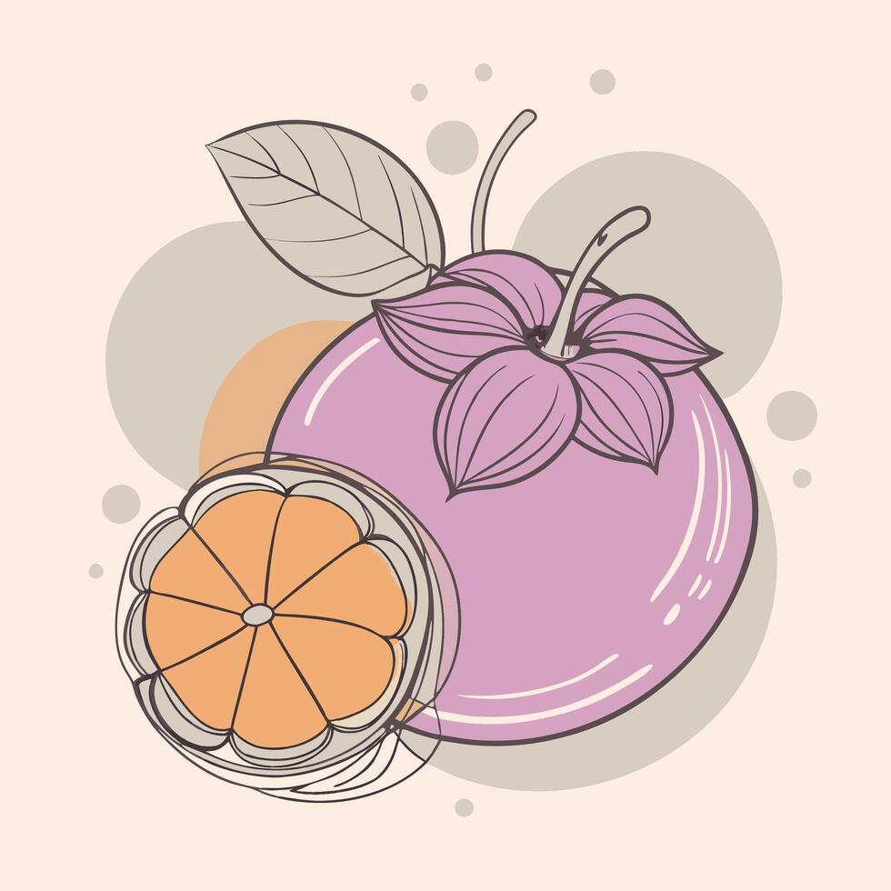 an illustration of a purple grapefruit with leaves white background vector