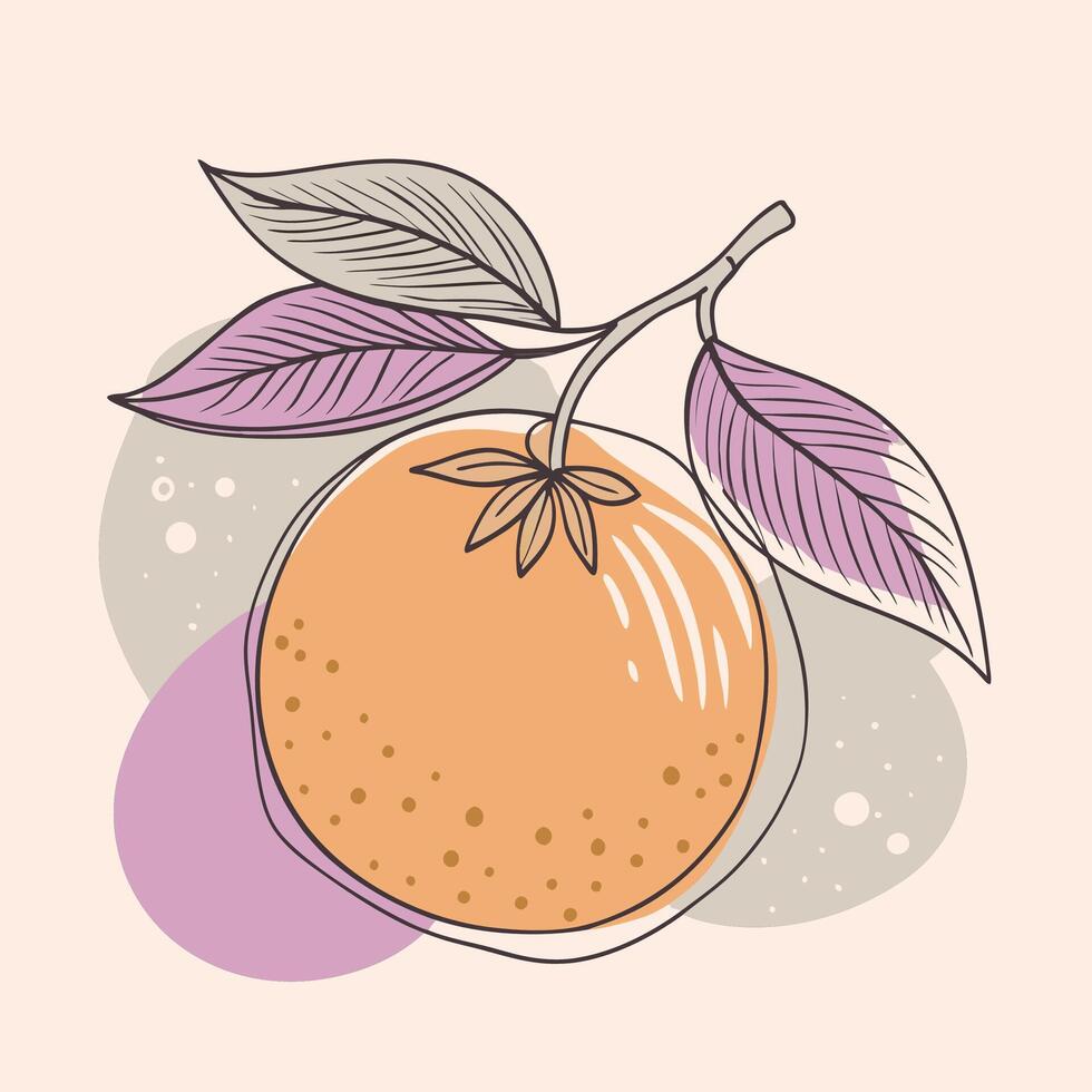 an orange with leaves and a leaf on it vector