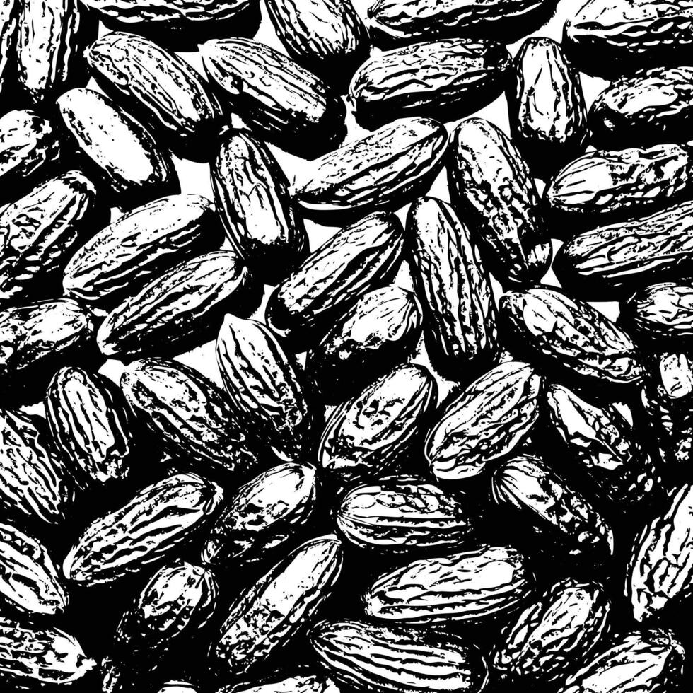 black and white image of a bunch of nuts vector
