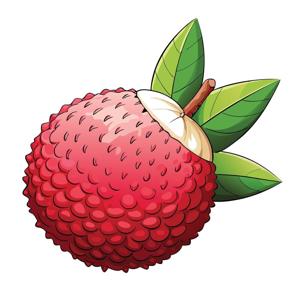 a red fruit with leaves on it vector