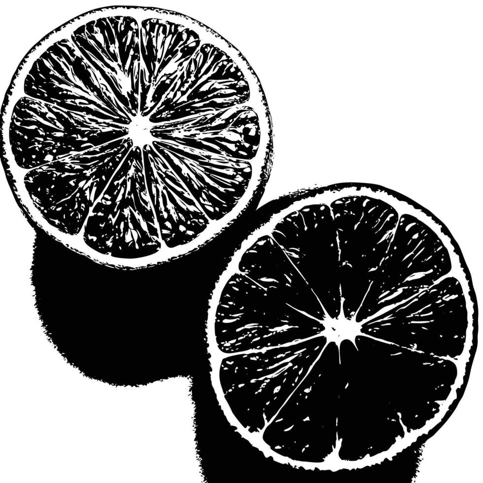 a black and white drawing of two slices of an orange vector
