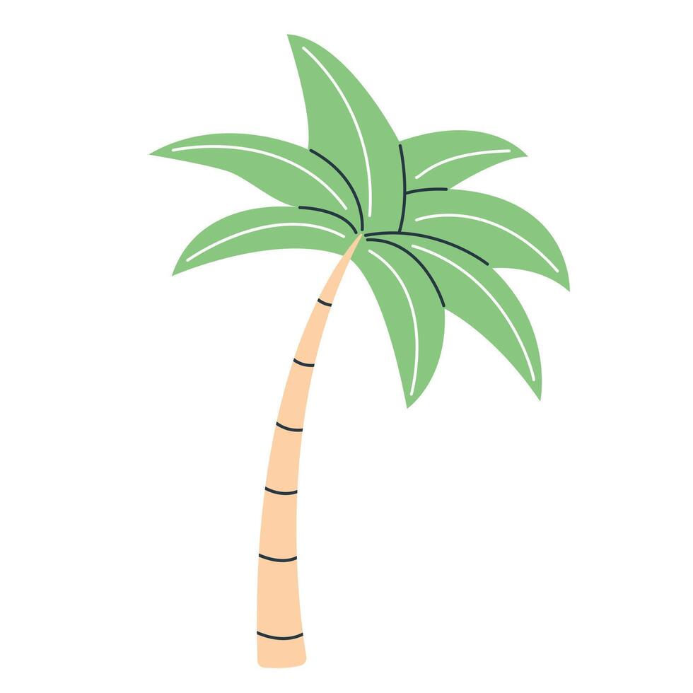 Palm tree in flat style isolated on white background. Summer clipart. vector